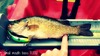 Smallmouthbass thumb