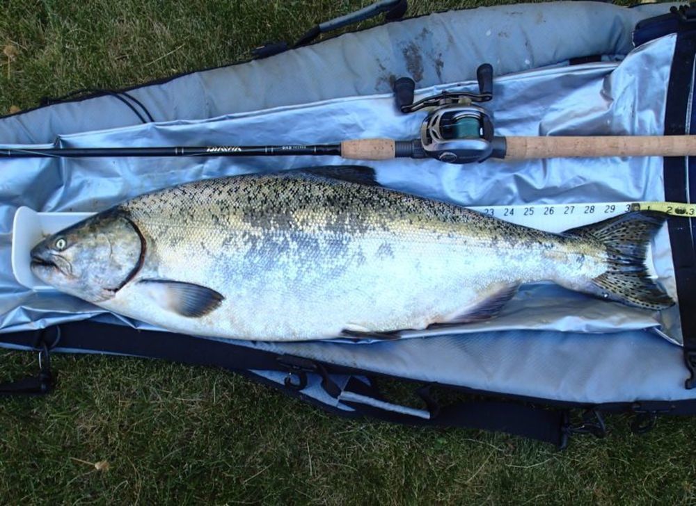 32inch chinook