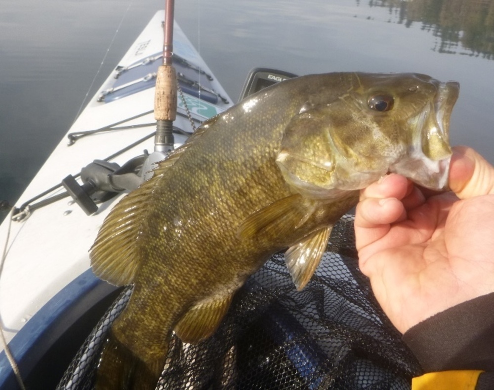 Smallie onboard