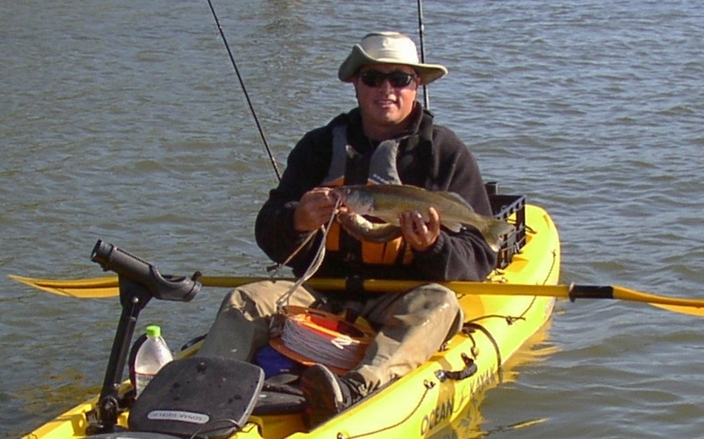 Walleye glory shot