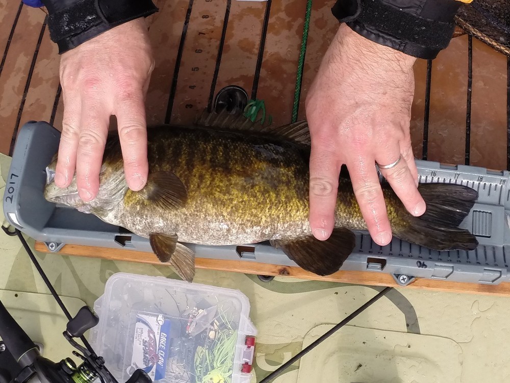 Smallmouth full