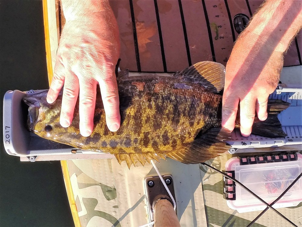 Smallmouth ii full