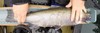 Steelhead full thumb