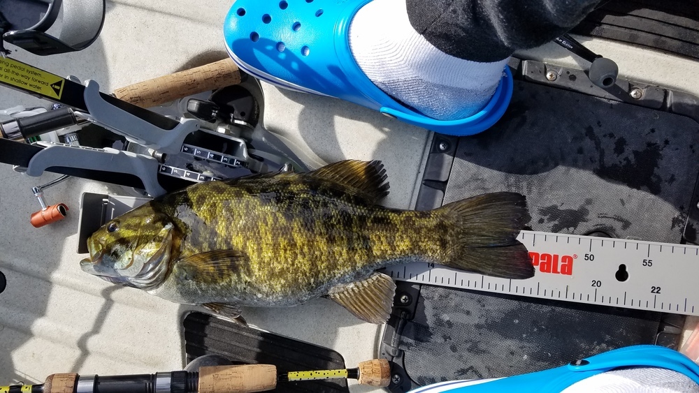 20180503 093957.jpg small mouth