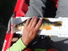 P5111444 thumb