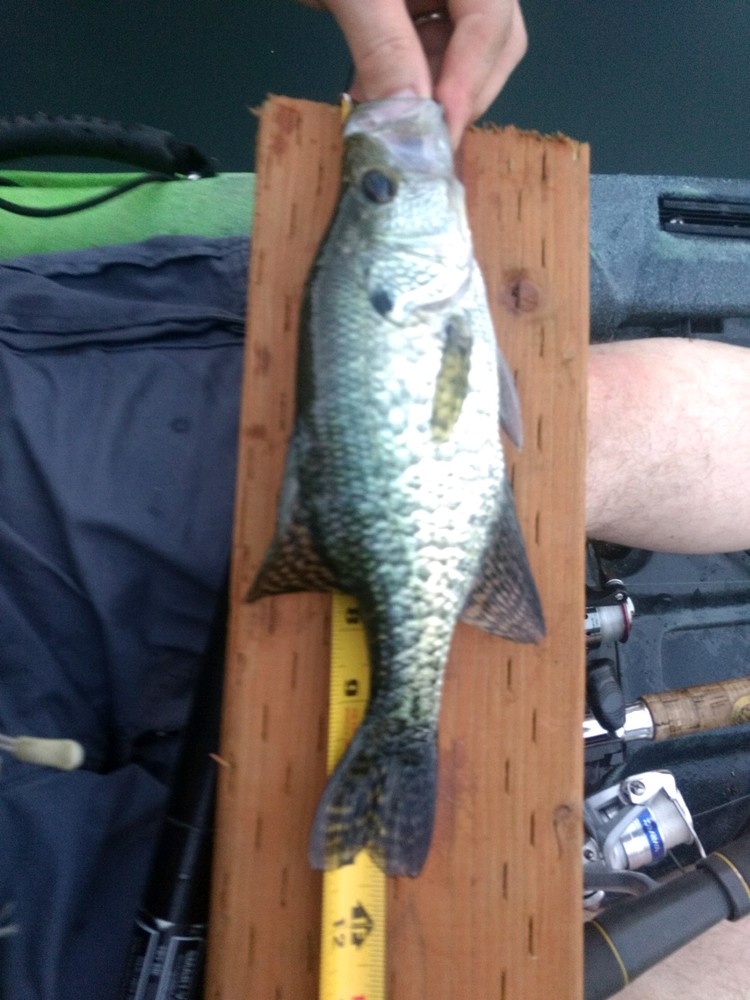 Crappie upgrade