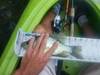 Cra thumb