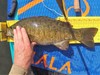 Smallmouth thumb