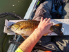 2021 smallmouth 1 thumb