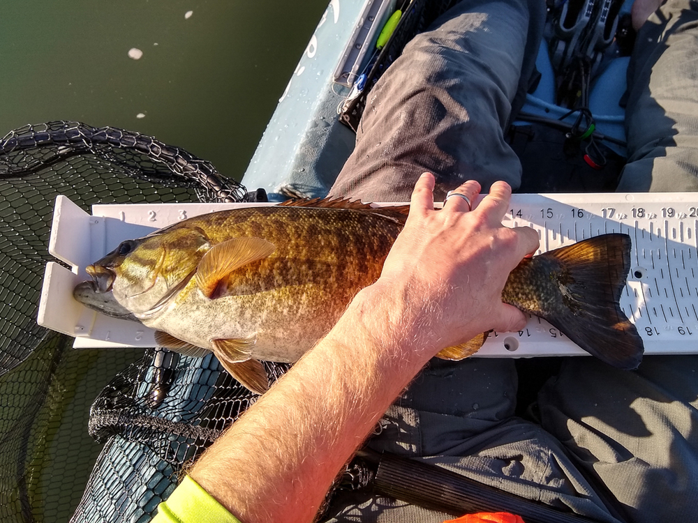 2021 smallmouth 1