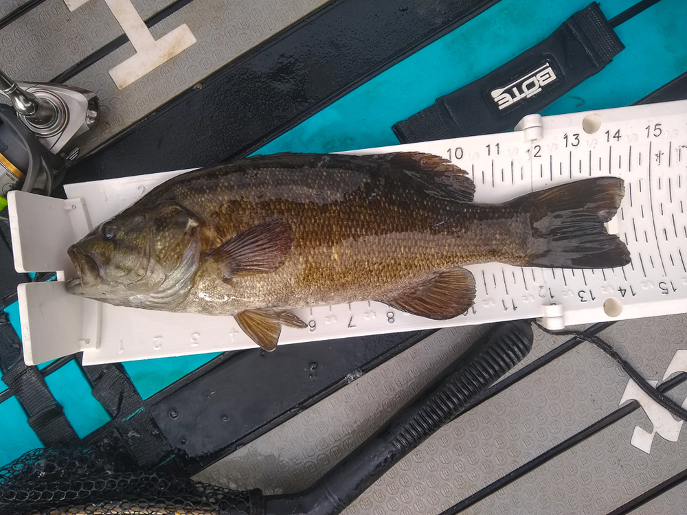 2021 smallmouth sup 1