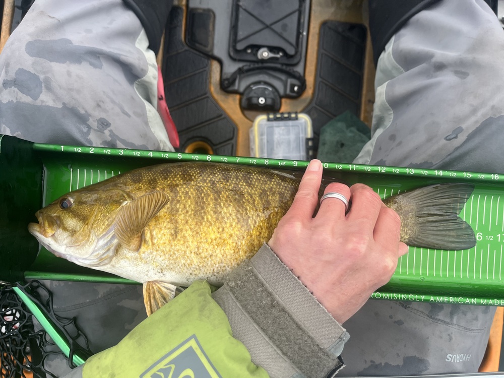 Smallmouth16