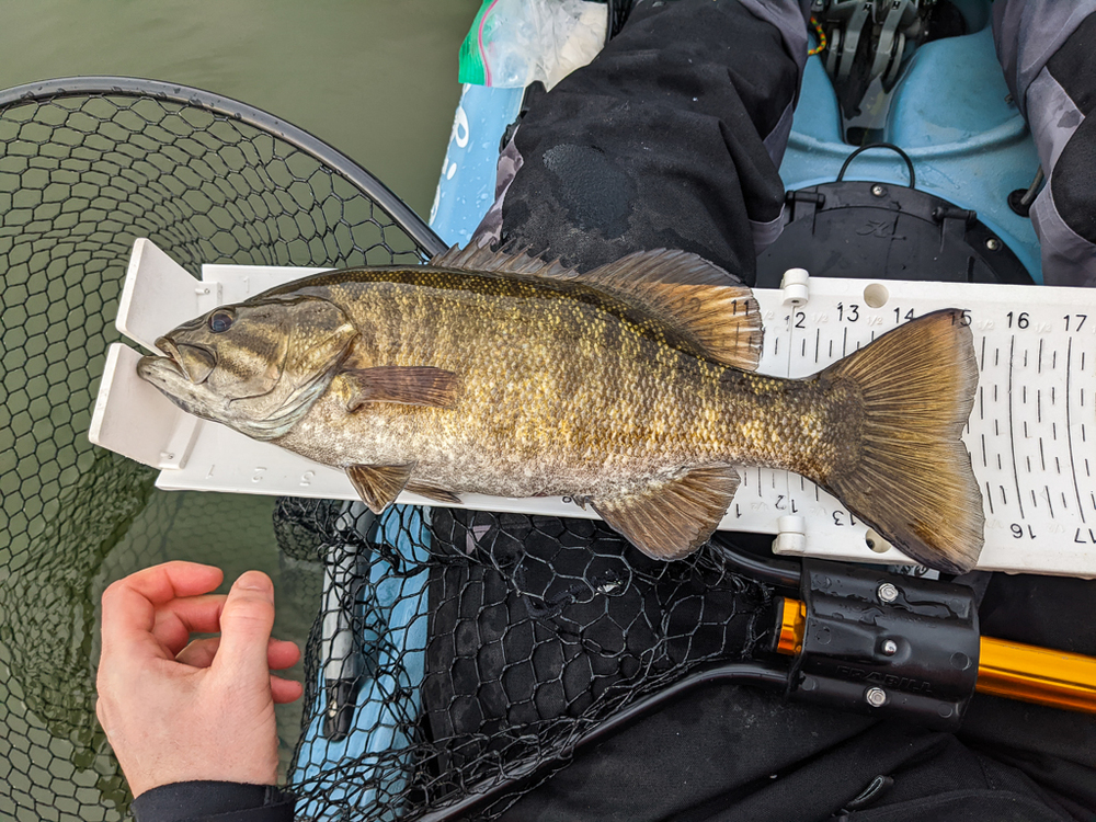 2023smallmouth1