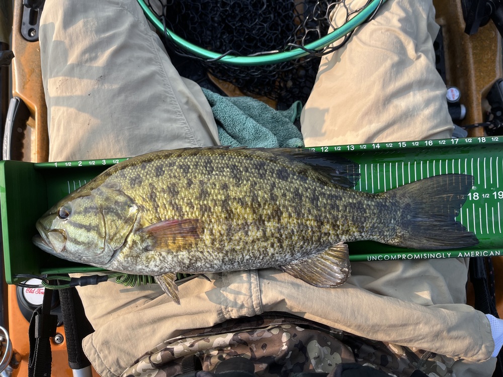 Smallmouth18