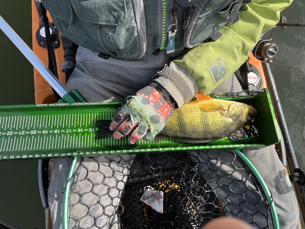 Perch14.75