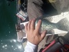 20230531 110619 thumb