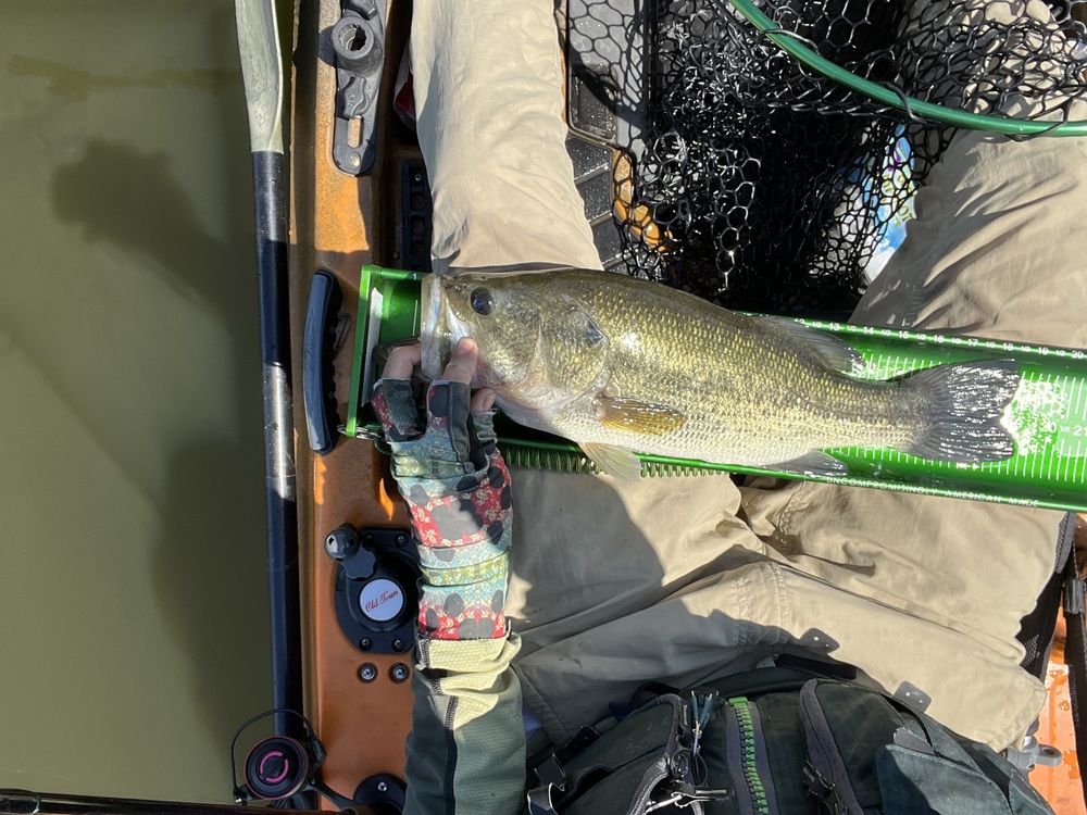 Largemouth19