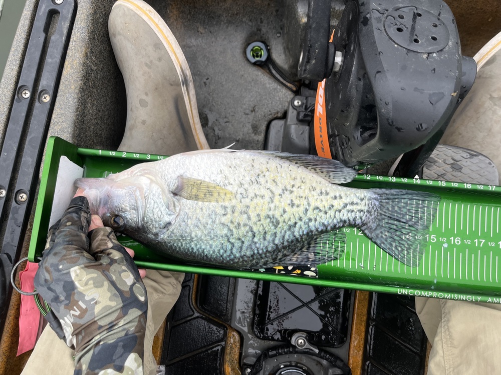 Crappie15.25