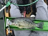 Crappie15.5 thumb