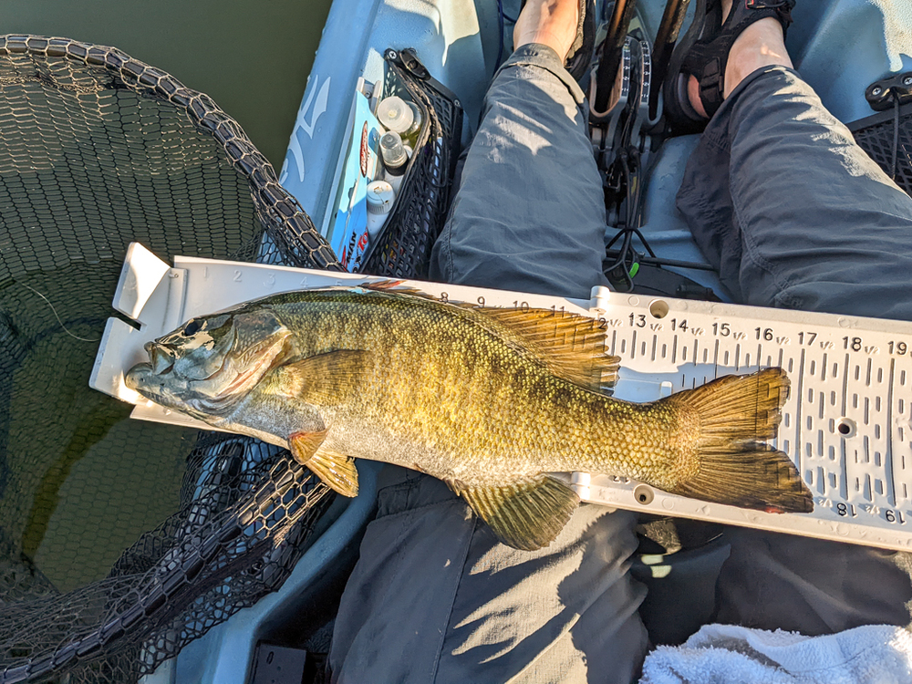 2023 smallmouth 1