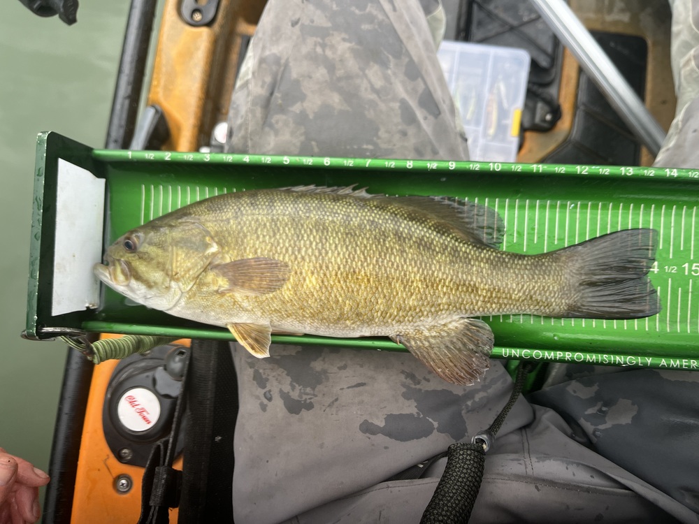 Smallmouth14.25