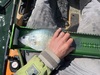 Panfish13.5 thumb