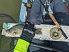 Aoty panfish  fly  1 thumb