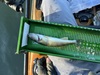 Walleye8.5 thumb