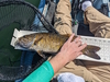 2024 pb smallmouth 1 thumb