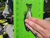1000005131 thumb