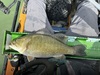 Smallmouth17.25 thumb