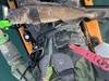 Lingcod33 thumb