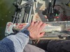 1000004636 thumb