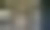 100 0060  medium  thumb