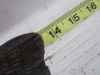 Cat1 2 thumb