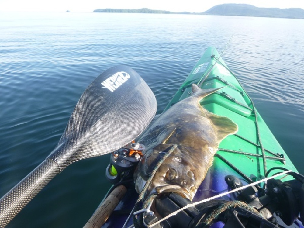 Halibut boat 30.0 081114