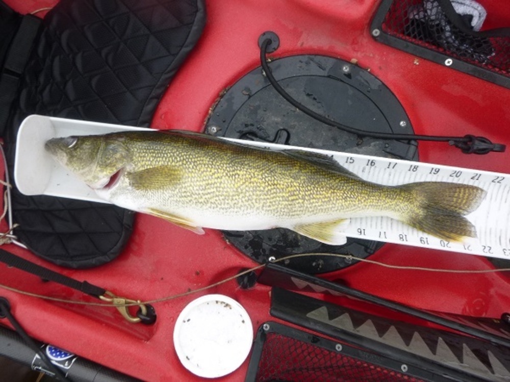 Walleye 21.75 full 110614