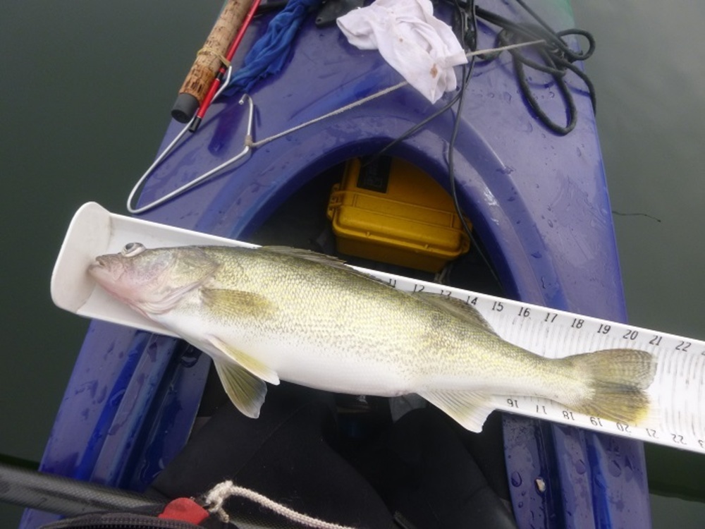 Walleye 21.5 020315