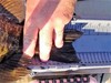 Smallmouth ii tail thumb