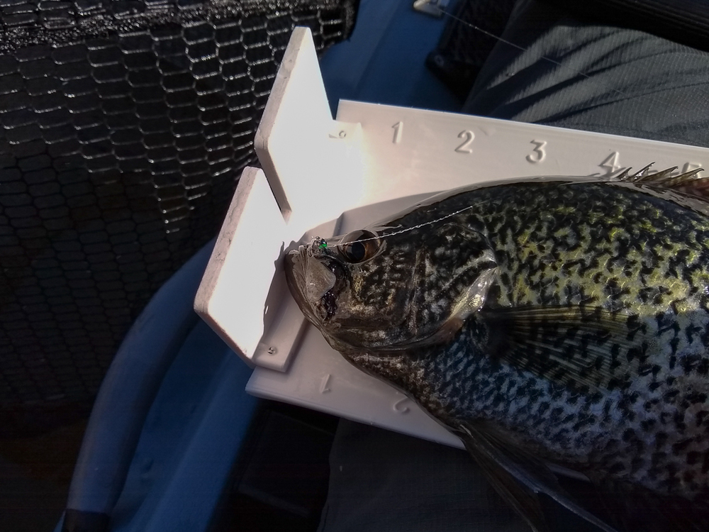 2021 crappie fly 2