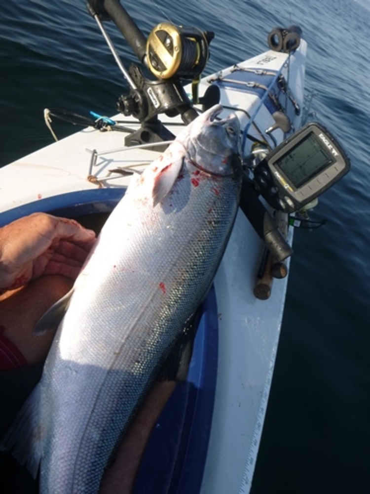 Coho 29.75 boat 090813