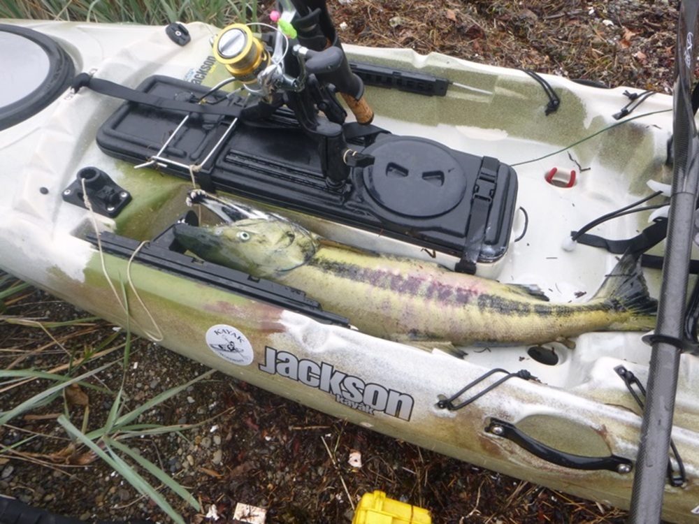 Chum jackson kayak