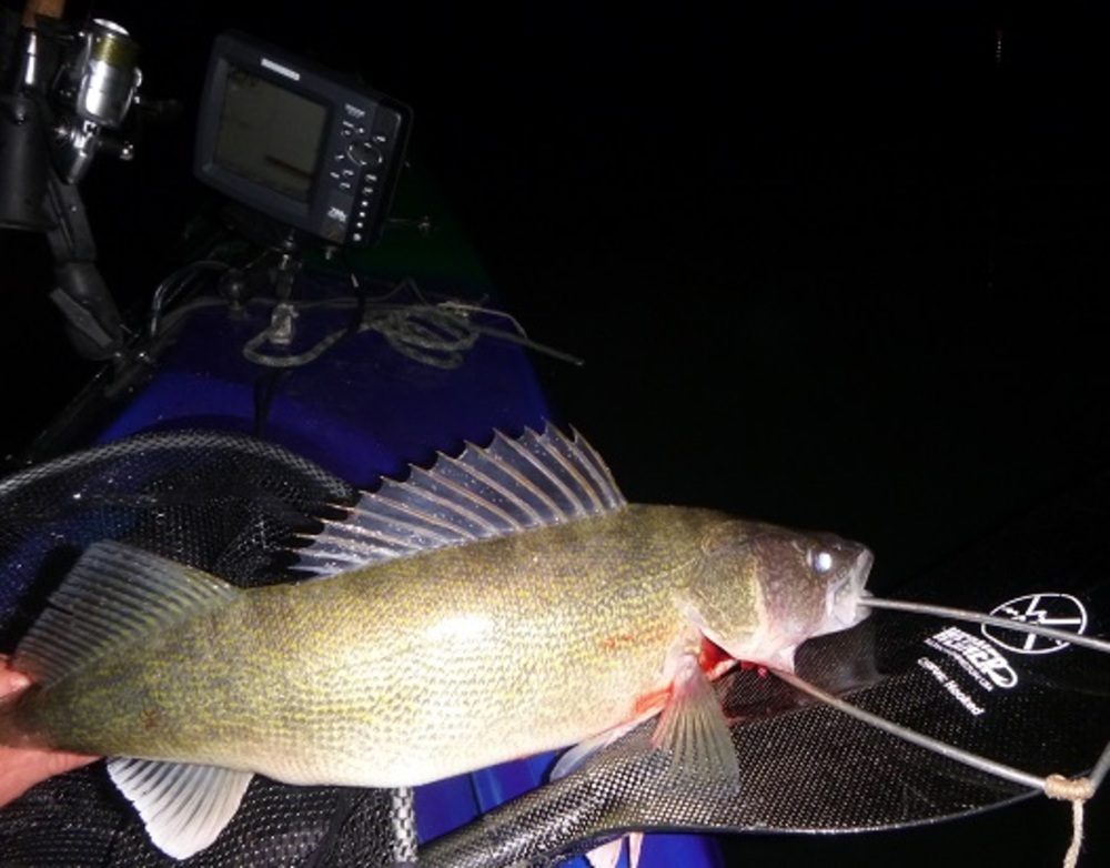 Walleye boat