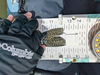 Aoty panfish fly 3 thumb