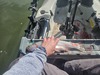1000004634 thumb